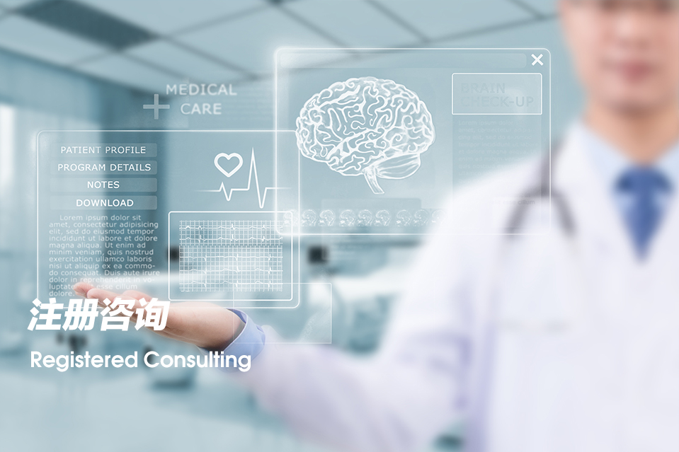 注册咨询（Registered Consulting）